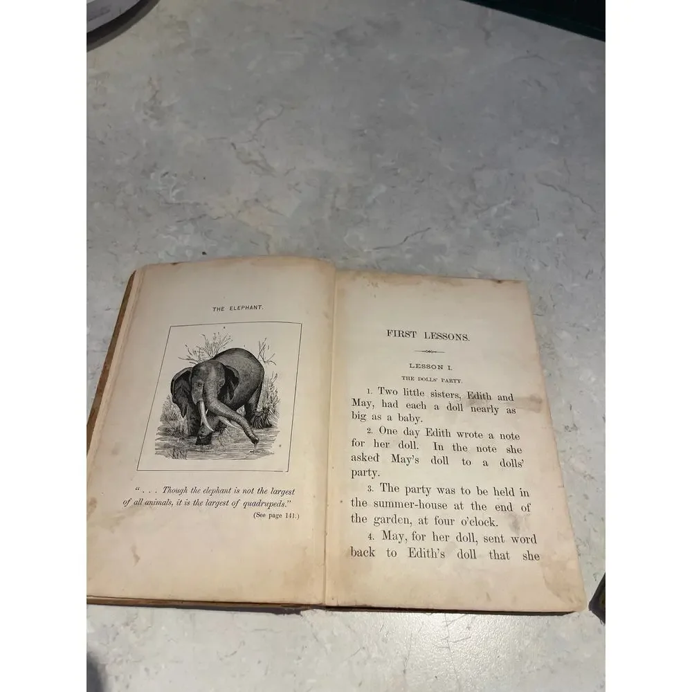 Antique 1894 Book 1 The World And Its People First Lessons Larkin Denton, LL.D